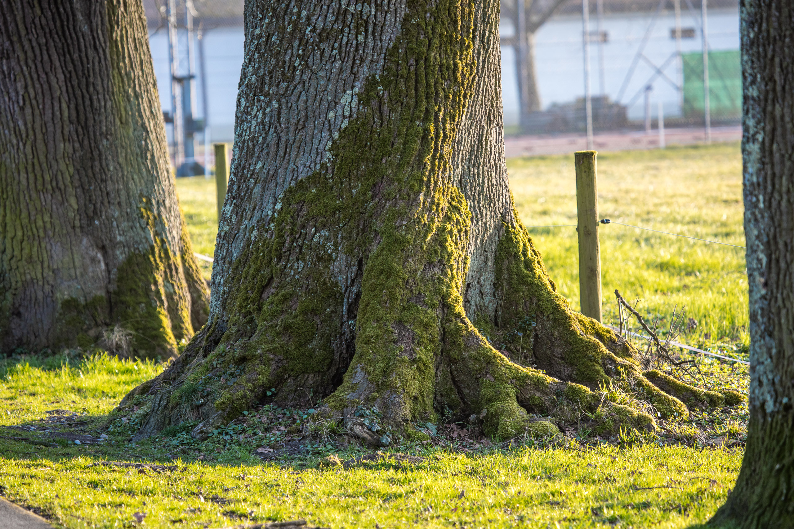 20160319174715 DP017867